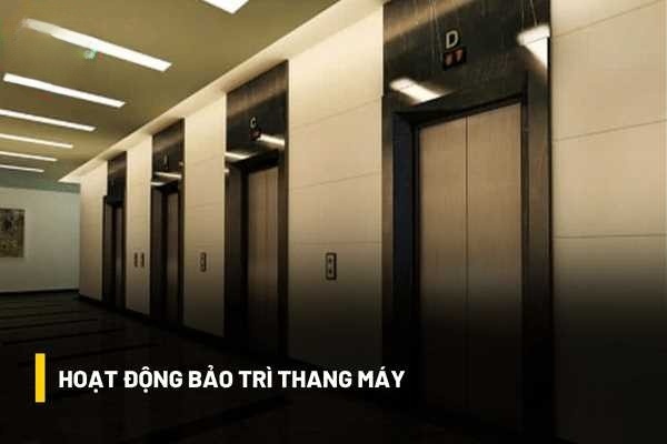 Bảo trì thang máy theo Quy chuẩn Việt Nam
